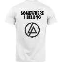 4.webp